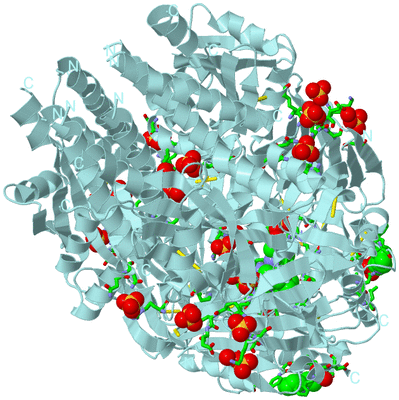 Image Biol. Unit 1 - sites