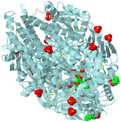 Image Biological Unit 1