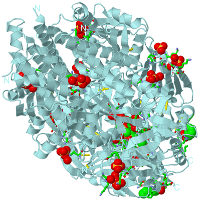 Image Biol. Unit 1 - sites