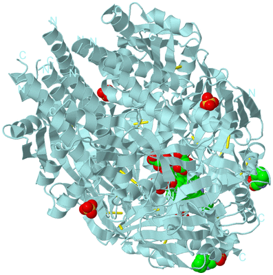 Image Biological Unit 1