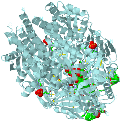 Image Biol. Unit 1 - sites