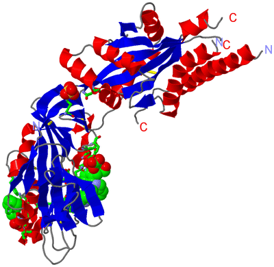 Image Asym. Unit - sites