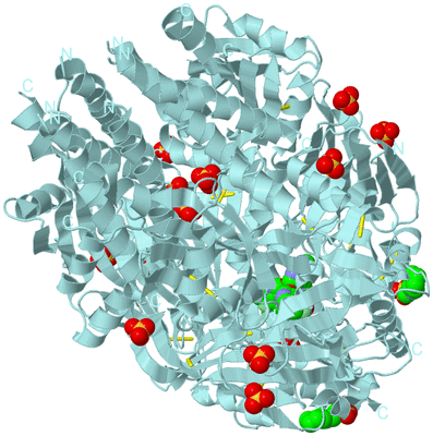 Image Biological Unit 1