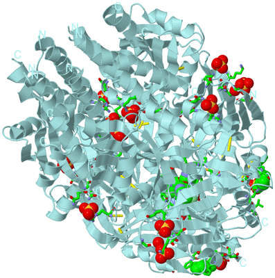 Image Biol. Unit 1 - sites