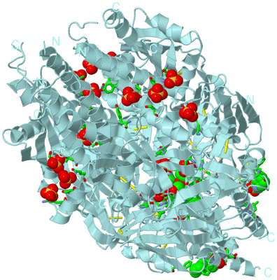 Image Biol. Unit 1 - sites