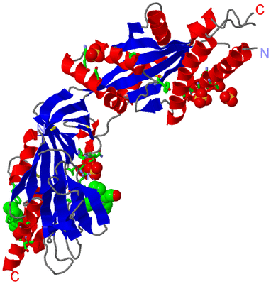 Image Asym. Unit - sites