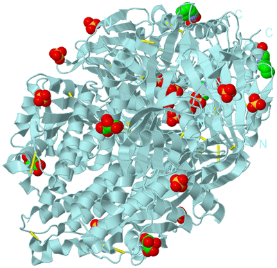 Image Biological Unit 1