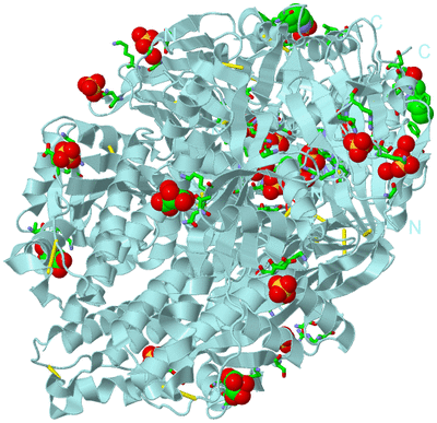 Image Biol. Unit 1 - sites