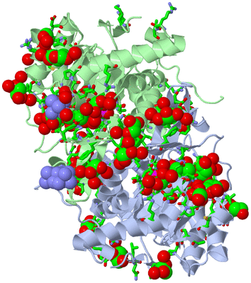 Image Asym./Biol. Unit - sites