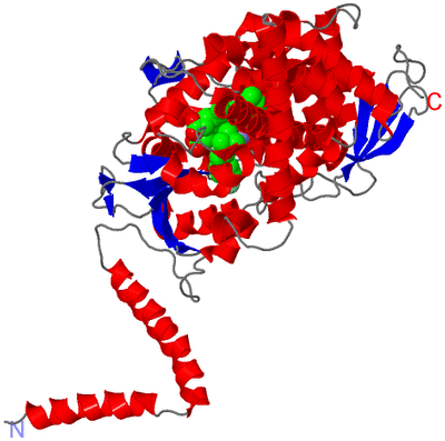 Image Asym./Biol. Unit