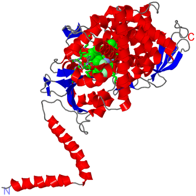 Image Asym./Biol. Unit - sites