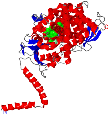 Image Asym./Biol. Unit