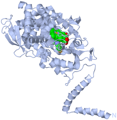 Image Biological Unit 1