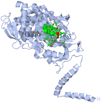 Image Biol. Unit 1 - sites