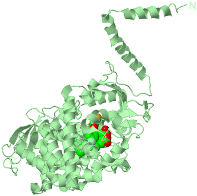 Image Biological Unit 2