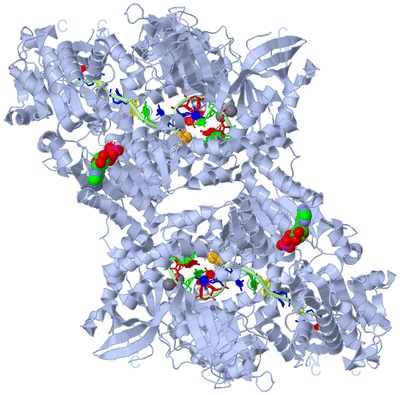 Image Biological Unit 1