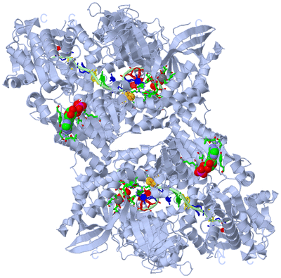 Image Biol. Unit 1 - sites