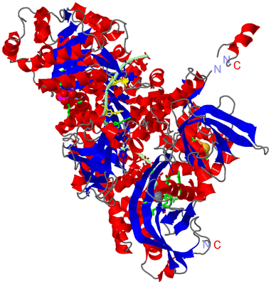 Image Asym. Unit - sites