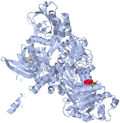 Image Biological Unit 1