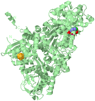 Image Biological Unit 2