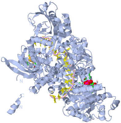 Image Biol. Unit 1 - sites