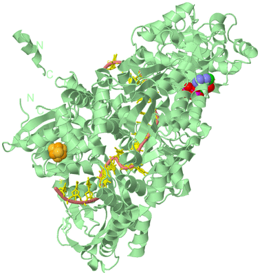 Image Biological Unit 2