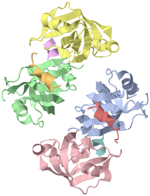 Image Asym./Biol. Unit