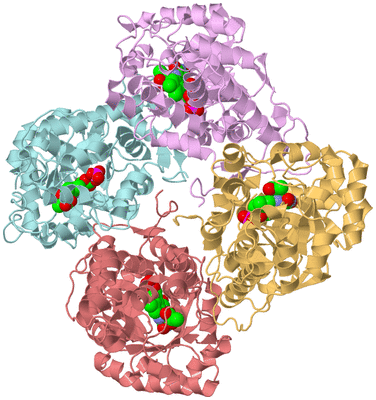 Image Biological Unit 2