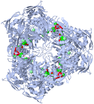 Image Biological Unit 1