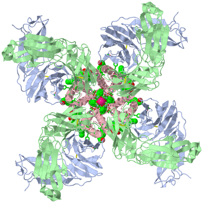 Image Biol. Unit 1 - sites