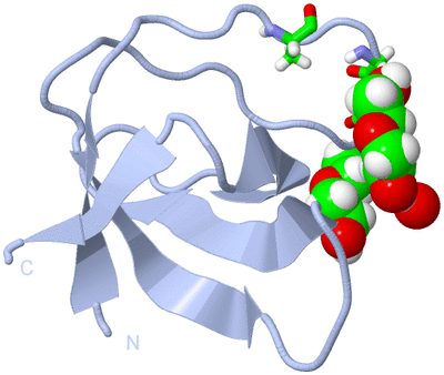 Image Biol. Unit 1 - sites