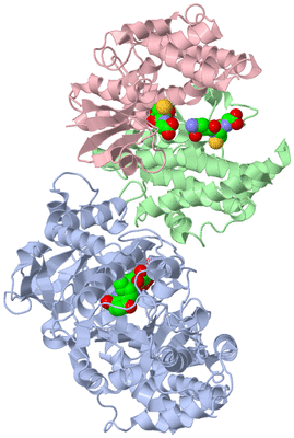 Image Biological Unit 1