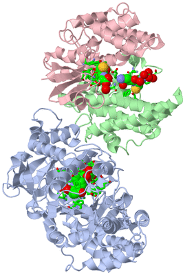 Image Biol. Unit 1 - sites