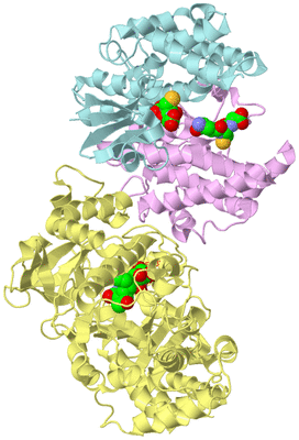 Image Biological Unit 2