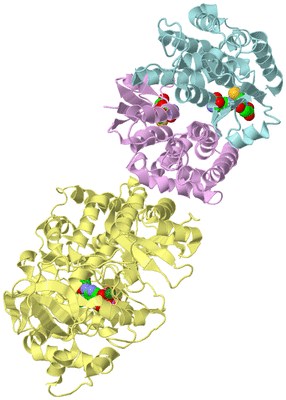 Image Biological Unit 2