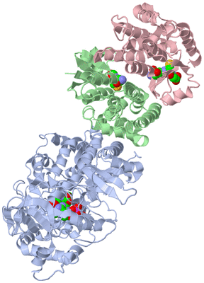 Image Biological Unit 1