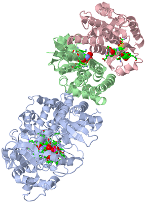 Image Biol. Unit 1 - sites