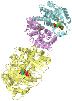 Image Biological Unit 2