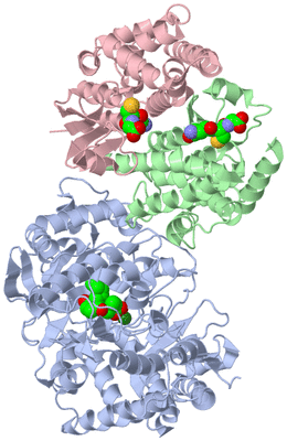 Image Biological Unit 1