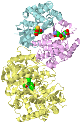 Image Biological Unit 2