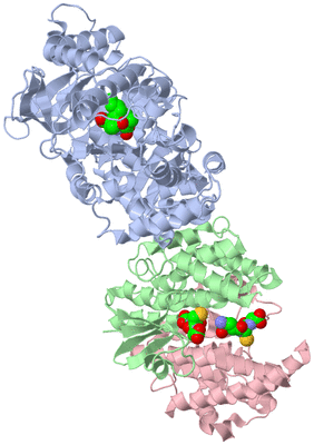 Image Biological Unit 1