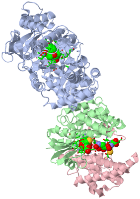 Image Biol. Unit 1 - sites