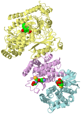 Image Biological Unit 2