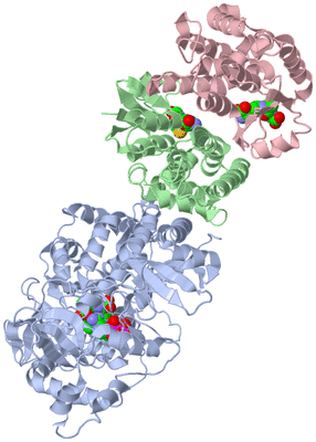 Image Biological Unit 1