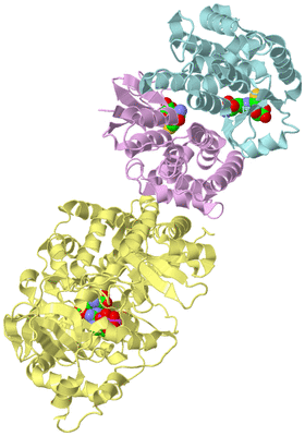 Image Biological Unit 2