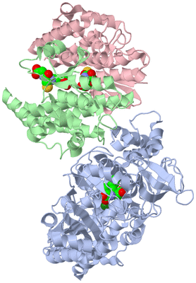 Image Biological Unit 1