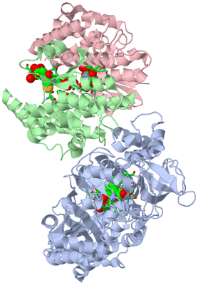 Image Biol. Unit 1 - sites