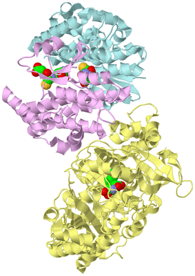 Image Biological Unit 2