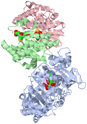 Image Biological Unit 1