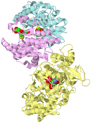 Image Biological Unit 2